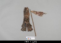 藏品(中國湖北皮影戲偶身-宮衣)的圖片